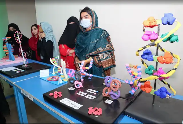 DNA and sickle cell models at the exhibition